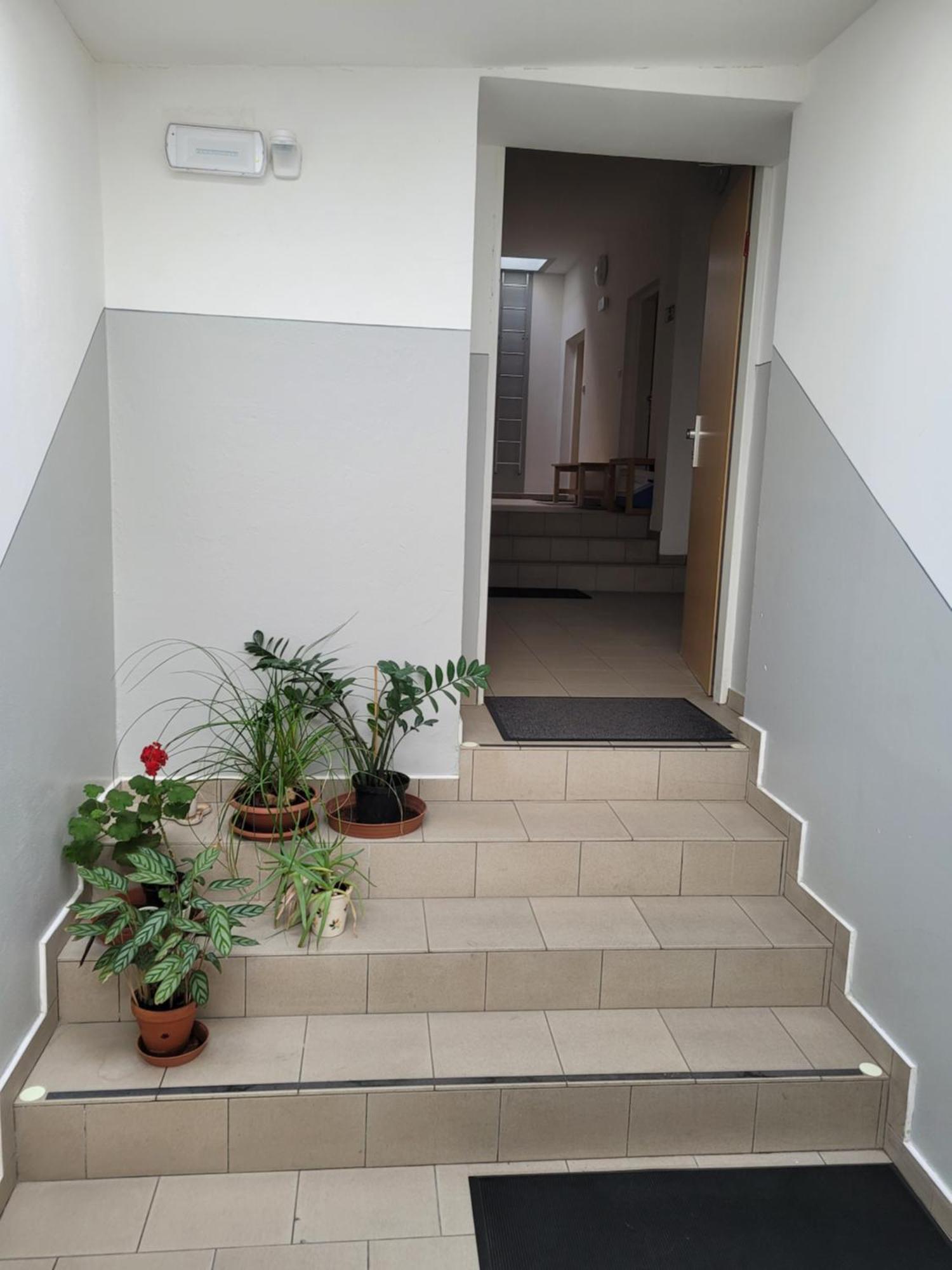 Apartamento Pod Strechou Svoboda nad Úpou Exterior foto